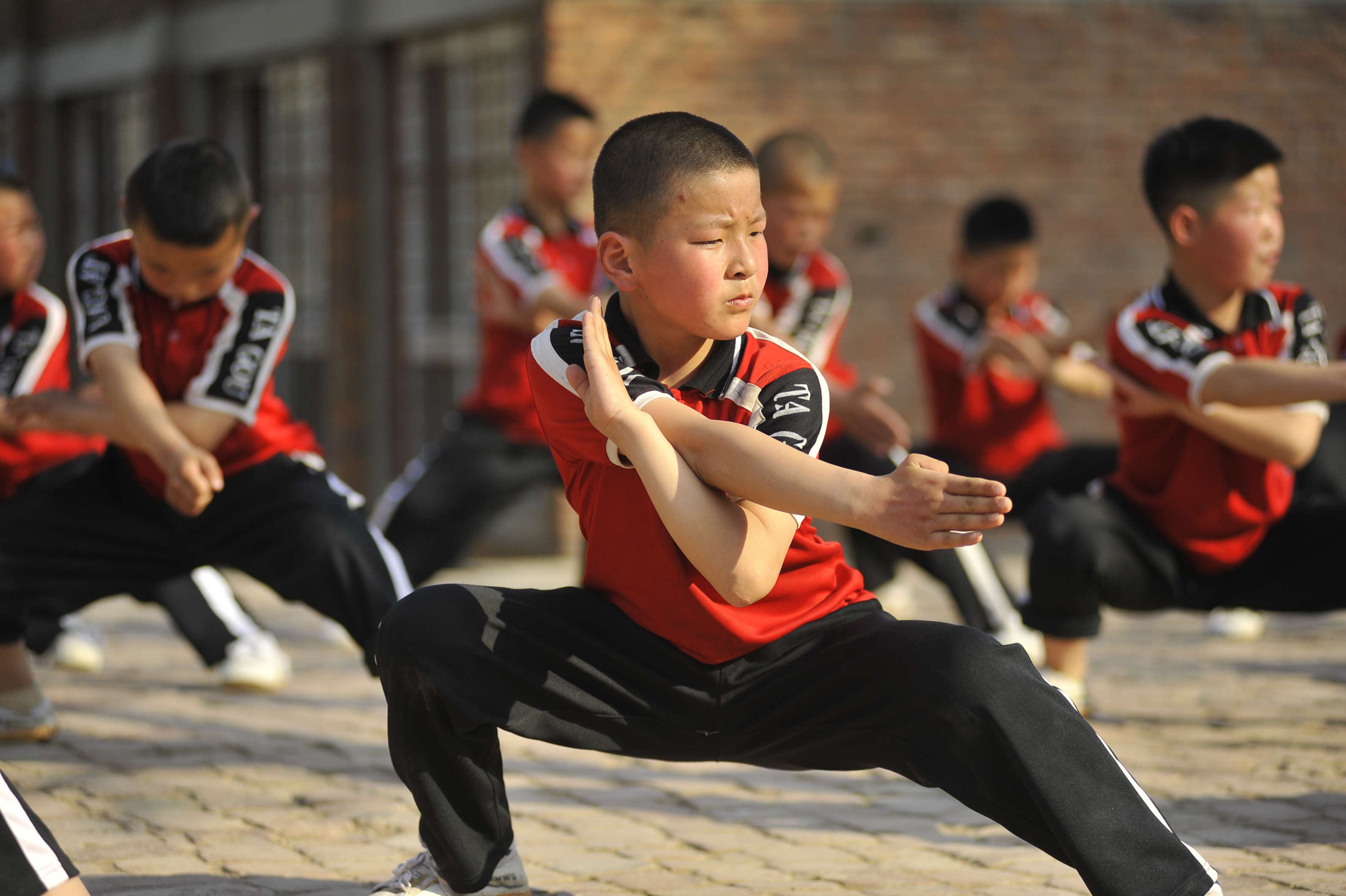 探寻传统武术奥秘与力量，学武功下载之旅