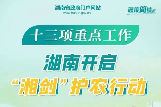 朱河最新招聘动态与人才市场分析概览