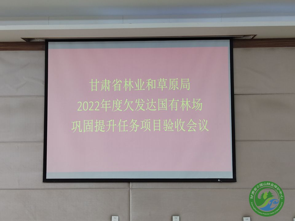 甘肃国有林场改革推动绿色转型，助力生态文明建设新进展