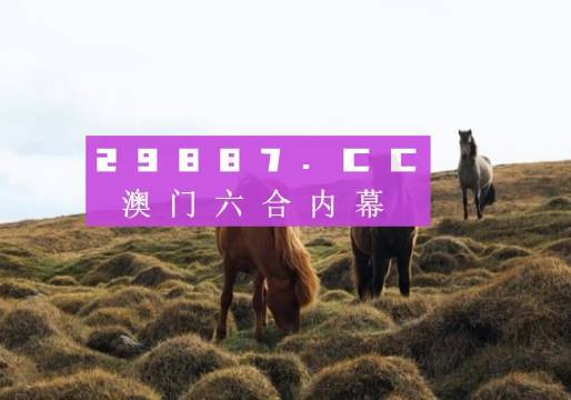 香港正版免费大全资料,全面解析说明_顶级版17.753