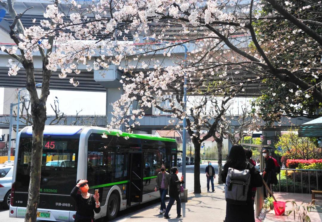 音乐的无限魅力与探索之旅，静静听下载之旅