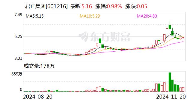 君正集团借壳传闻与企业转型，资本市场的新机遇