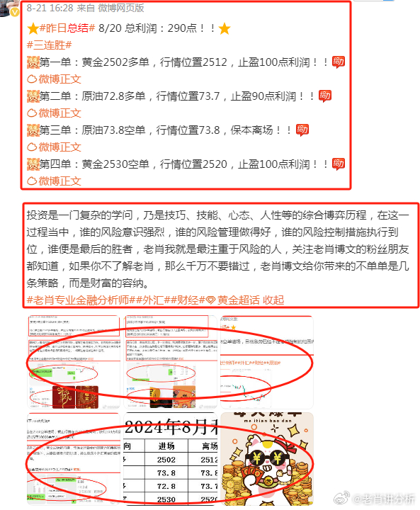 管家婆资料精准一句真言港彩资料,数据驱动执行决策_PalmOS36.989