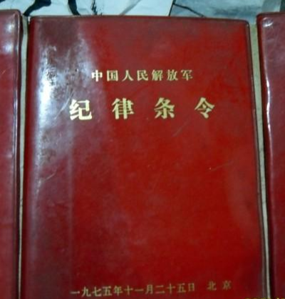 纪律条令最新版塑造高效有序社会治理新体系