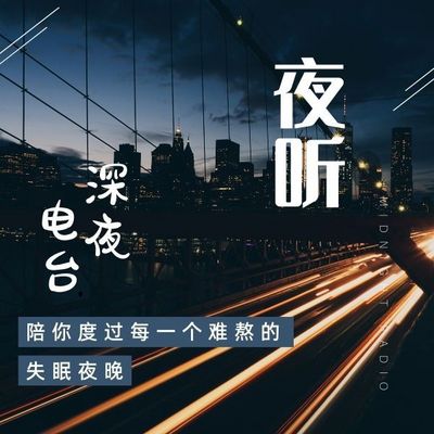 深夜旋律与情感共鸣，深夜下载的音乐故事