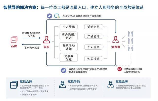 三肖三期必出特肖资料,综合性计划定义评估_VR39.962