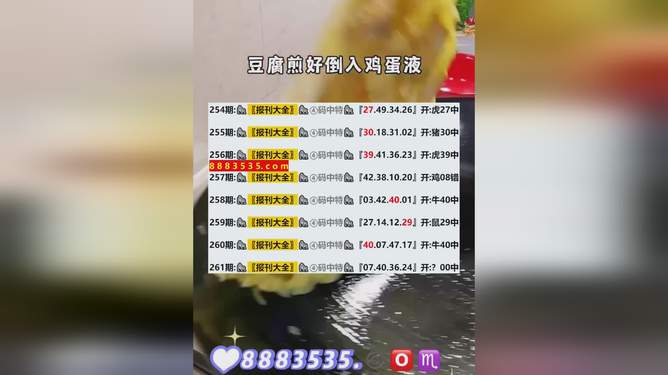 2024新澳最新开奖结果查询,稳定评估计划方案_豪华版55.576