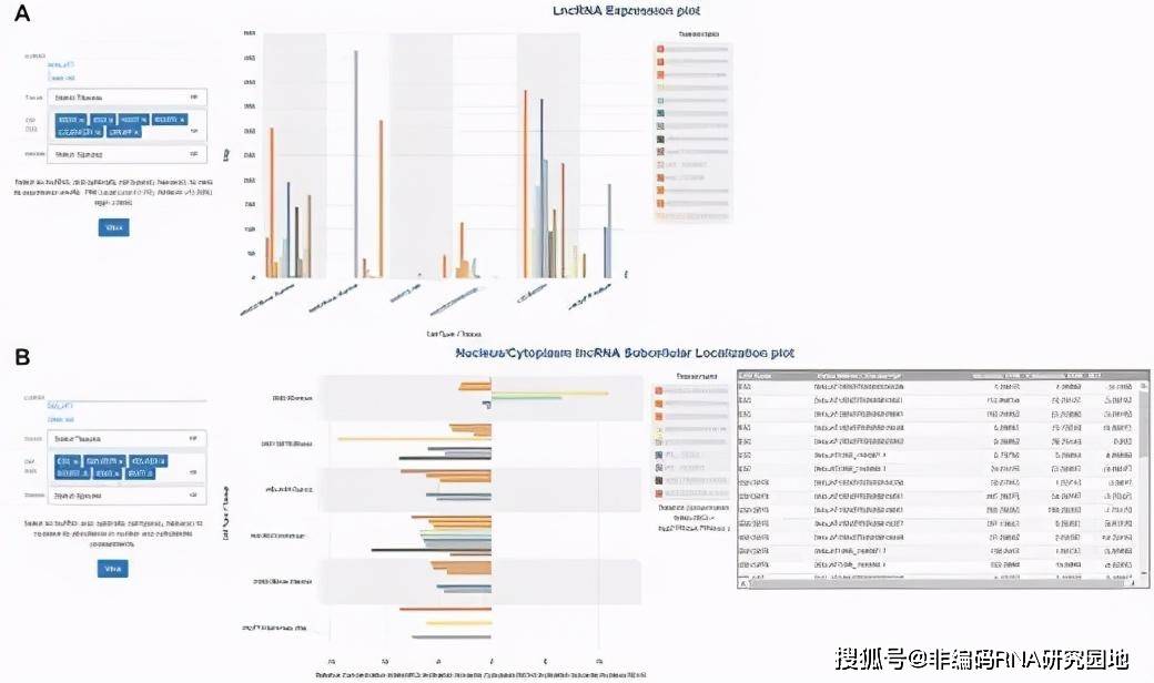 新奥最快最准的资料,现状解答解释定义_3DM42.698