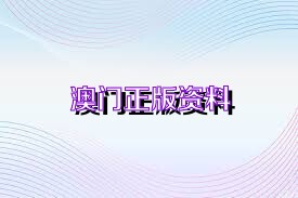 新澳门最精准正最精准正版资料,决策资料解释落实_Plus85.851