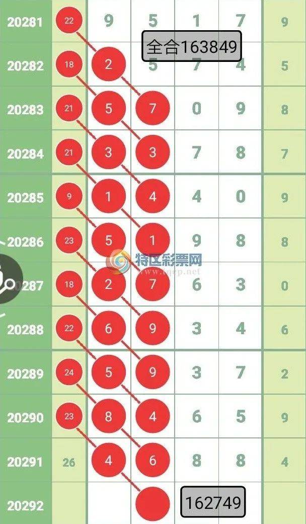 118神童网最准一肖,实效设计解析_4DM28.770