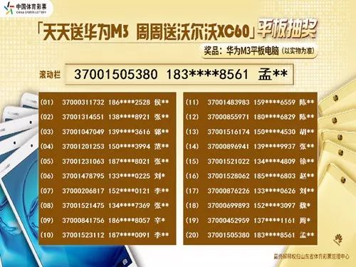 246天天天彩天好彩资料大全二四,数据引导策略解析_Phablet51.802