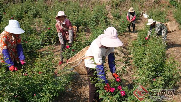 果玉村迈向繁荣和谐新时代的最新发展规划