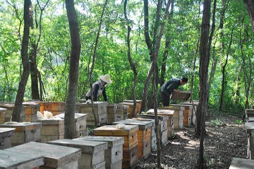 结山村民委员会最新资讯速递