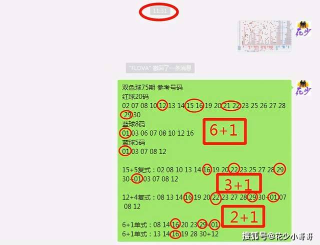 白小姐今晚特马期期准六,动态说明解析_pro81.249