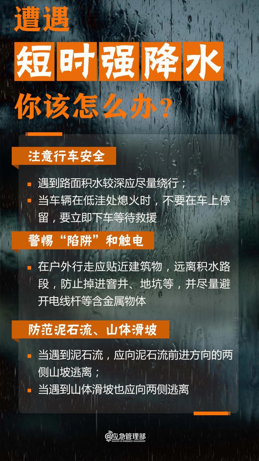 黄大仙综合资料大全精准大仙,稳健性策略评估_VIP28.623