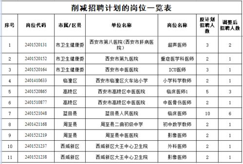 琼海市级托养福利事业单位发展规划展望