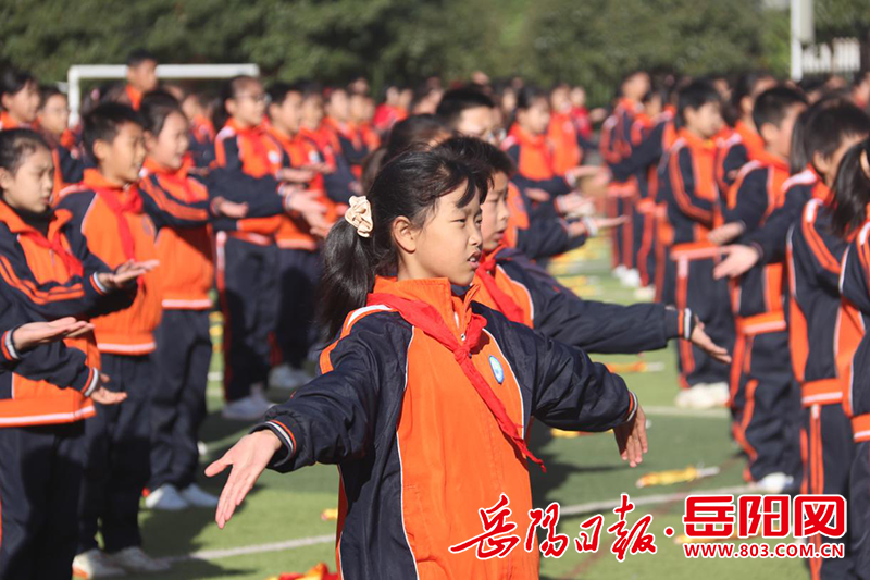 岳阳县小学最新动态报道