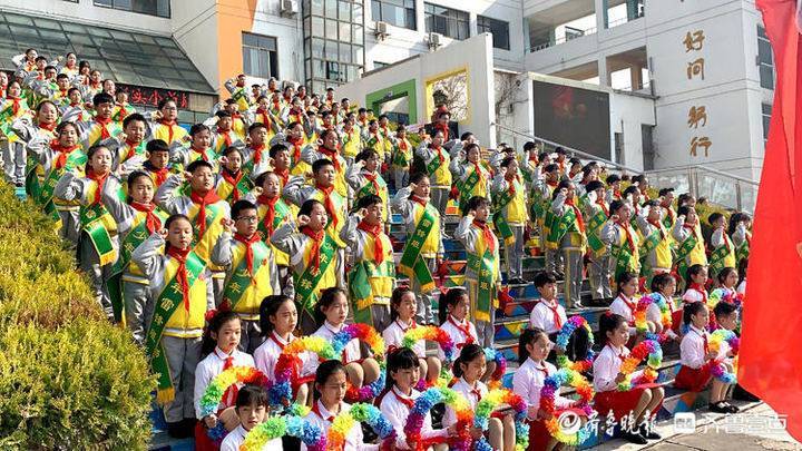 薛城区小学最新项目概览，全面解读学校发展动态