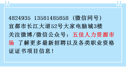 宜都市文化局最新招聘信息及招聘动态