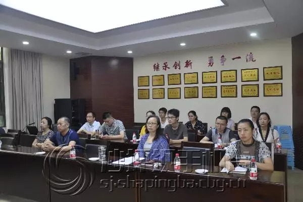 沙坪坝区科技局最新发展规划，打造科技创新高地，引领区域高质量发展