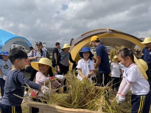 宾阳县小学领导团队引领未来教育新篇章