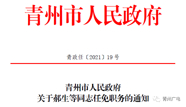 回民区数据和政务服务局最新人事任命动态解析