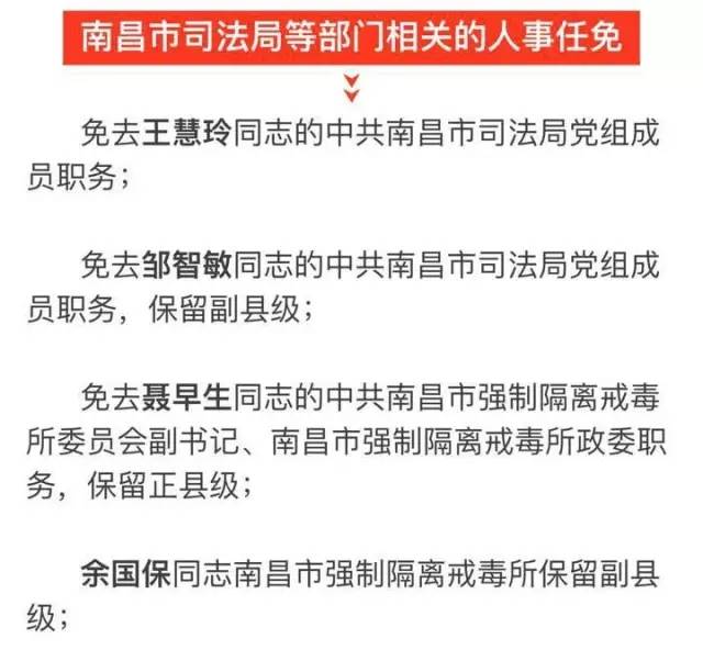 回民区科技局人事任命新动态，未来展望与人事调整