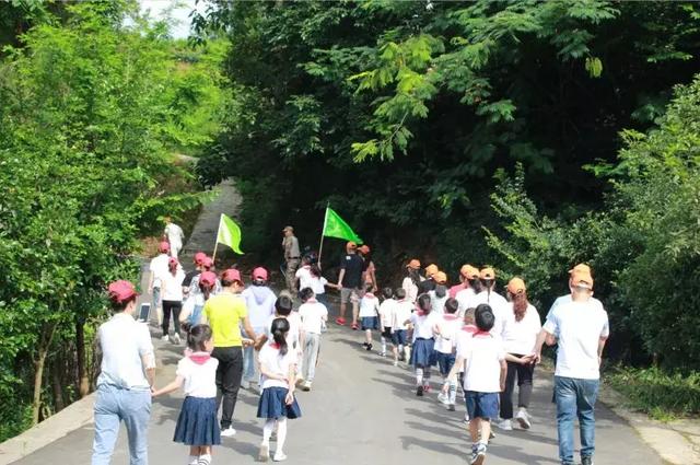 红花岗区小学最新项目，教育创新的探索之旅