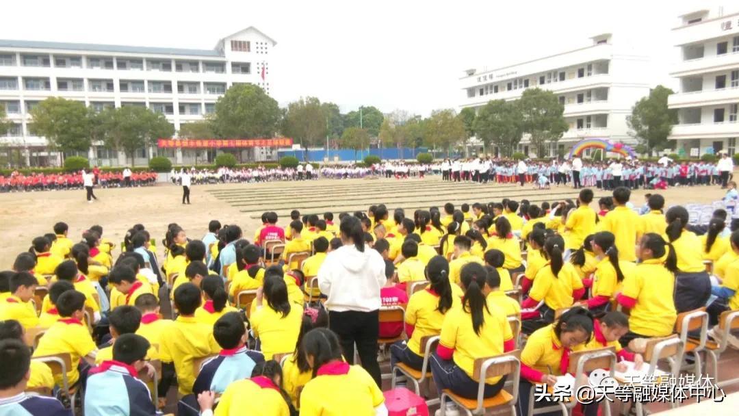 天等县小学校长引领教育改革，塑造未来之光启航新征程