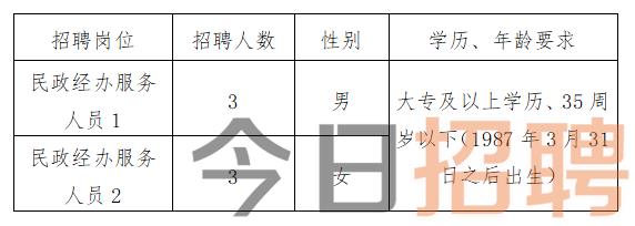 洱源县文化局最新招聘启事及解读