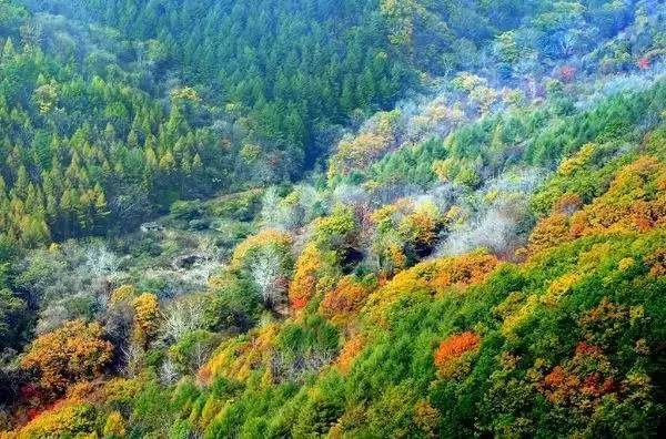 花滩林场最新天气预报及其影响分析