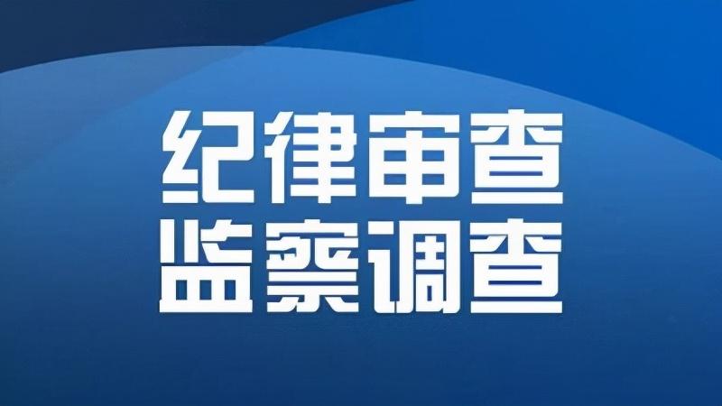 灌南县审计局最新动态报道