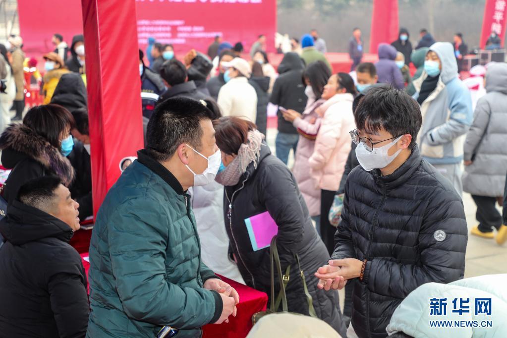 平陆县初中最新招聘信息详解