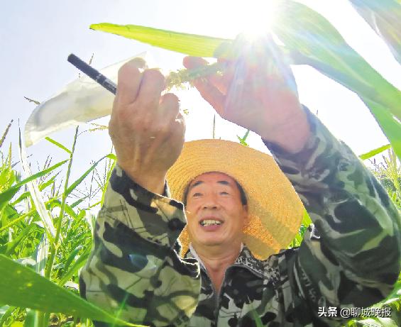 茌平县成人教育事业单位最新项目，探索与前瞻性的发展之路