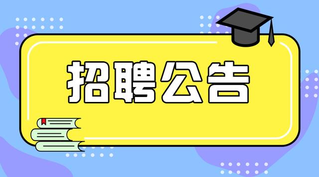 北市区小学最新招聘信息概览