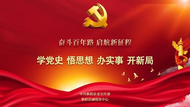 枞阳县应急管理局最新招聘信息概览