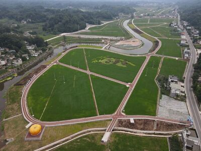 雨城区农业农村局最新资讯发布