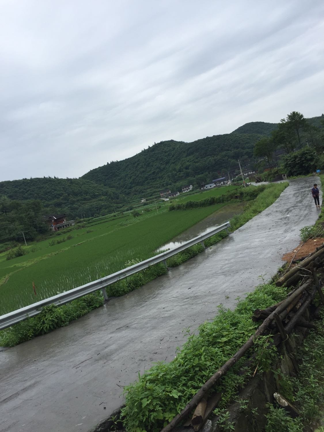 母家河村委会最新天气预报