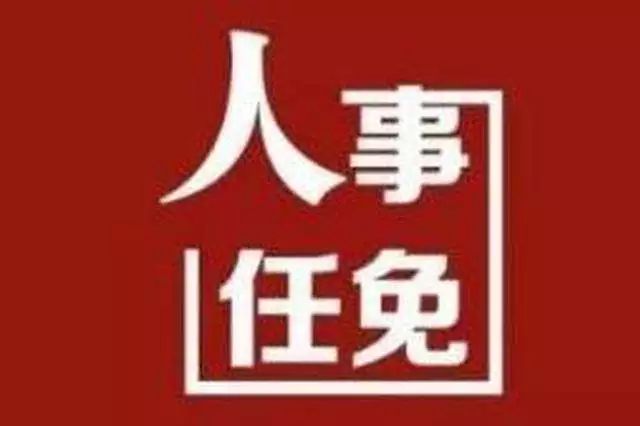 浦东街道人事任命揭晓，引领未来发展的战略布局