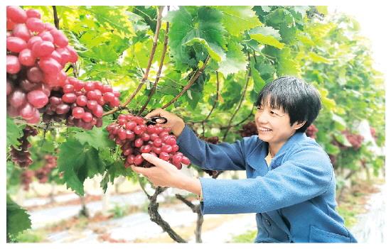 漠川乡全新发展规划揭晓