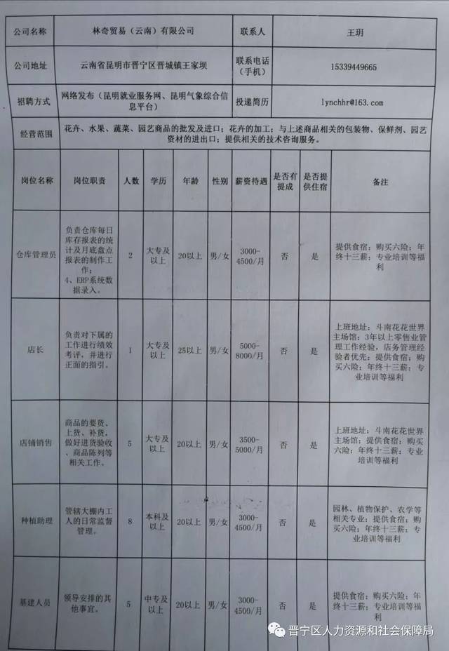 鲁甸县教育局最新招聘公告概览