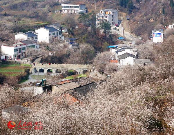 樱桃沟村委会最新动态报道