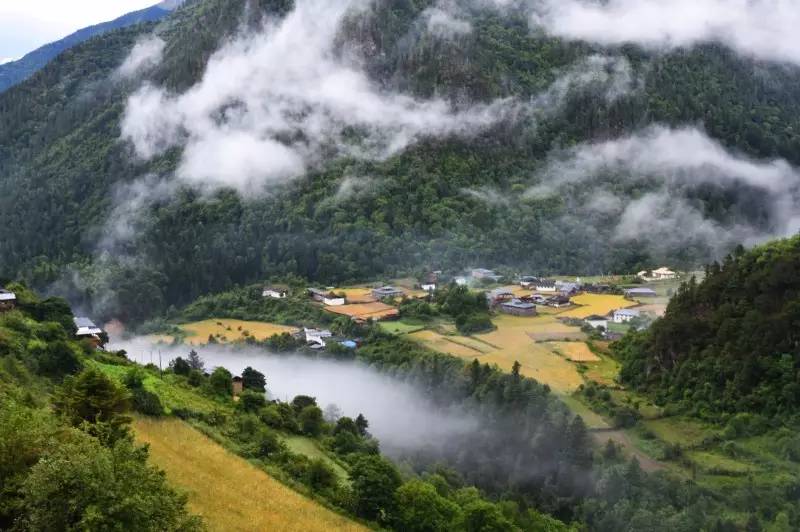 措崩村天气预报更新