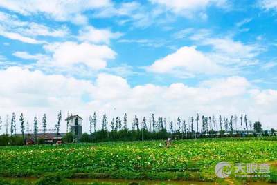 大兴安岭管理局诺敏河农场最新项目进展与区域发展影响分析