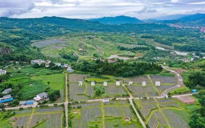 建峰乡天气预报最新详解