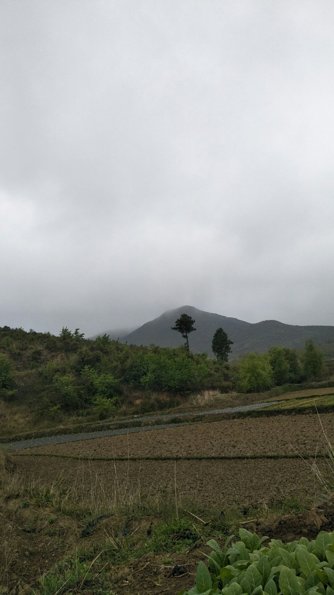 玛荣乡天气预报更新通知